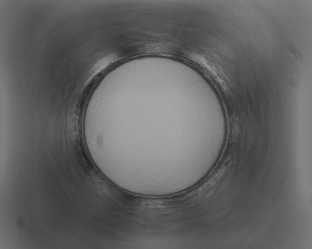 X0000116441211200912291921