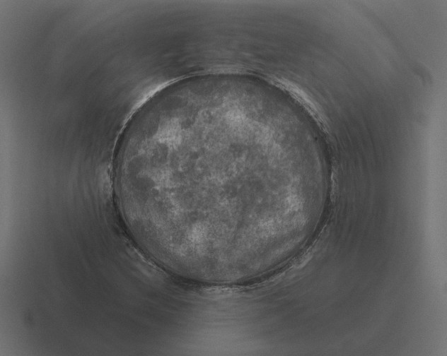 X0000116441212200912291921