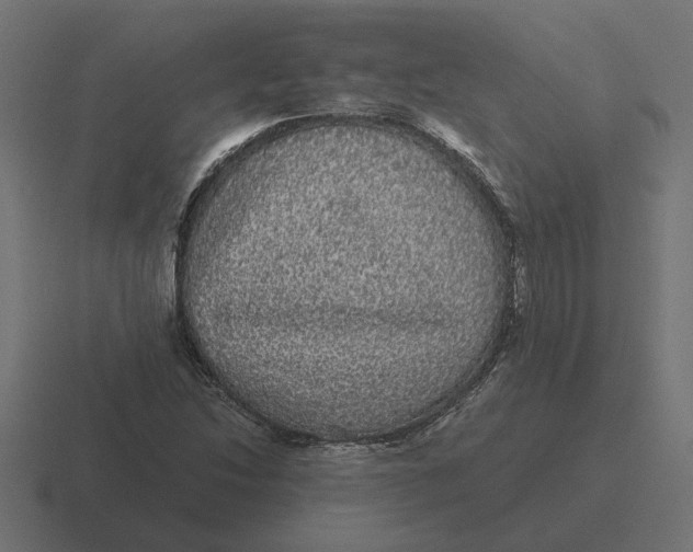 X0000116441214200912291921