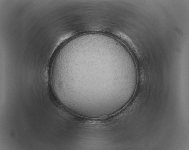 X0000116441218200912291921