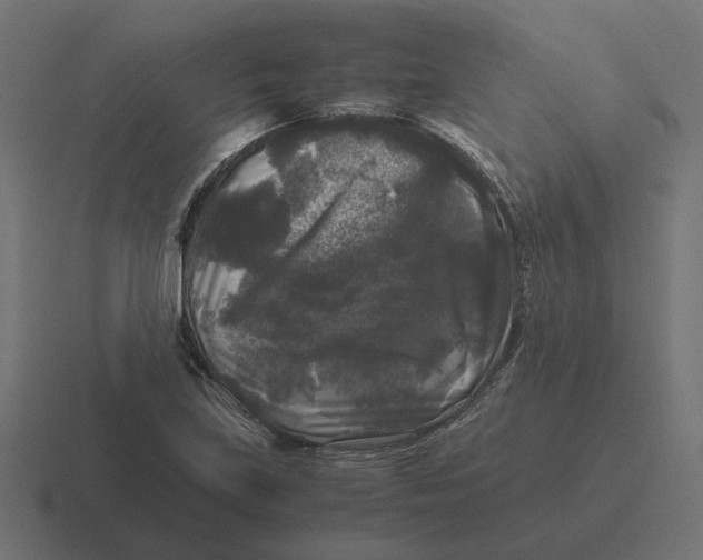 X0000116441219200912291921