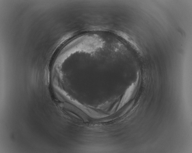 X0000116441221200912291921