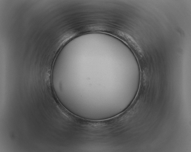 X0000116441225200912291921