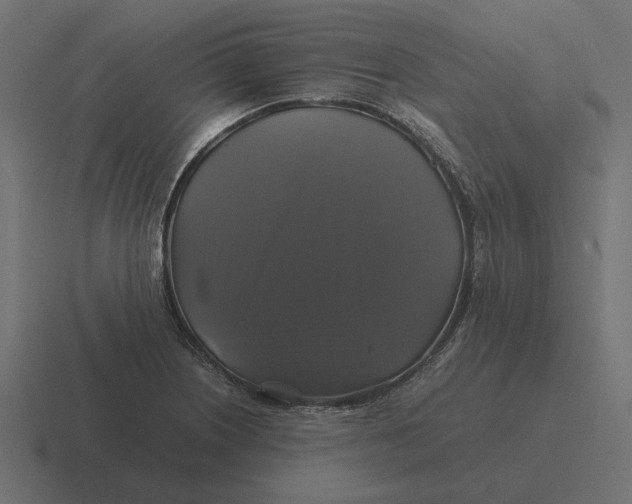X0000116441226200912291921