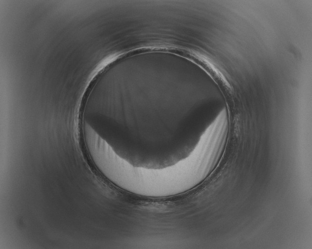 X0000116441229200912291921