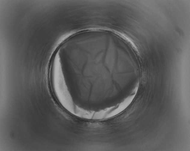 X0000116441231200912291921