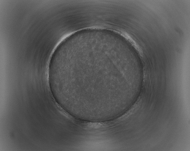 X0000116441232200912291921