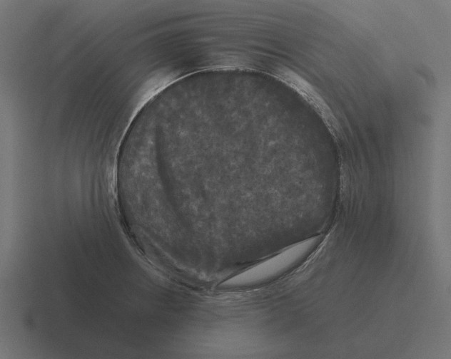 X0000116441234200912291922