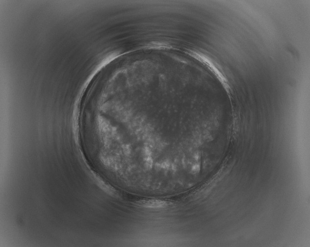 X0000116441235200912291922