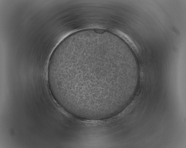 X0000116441236200912291922
