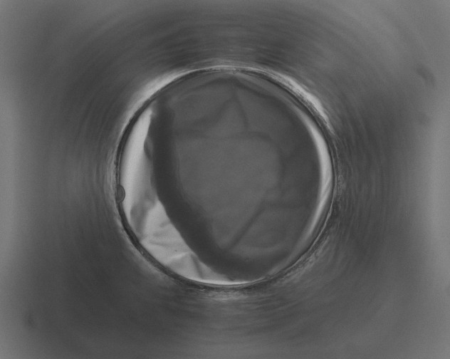 X0000116441239200912291922