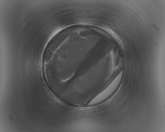 X0000116441240200912291922