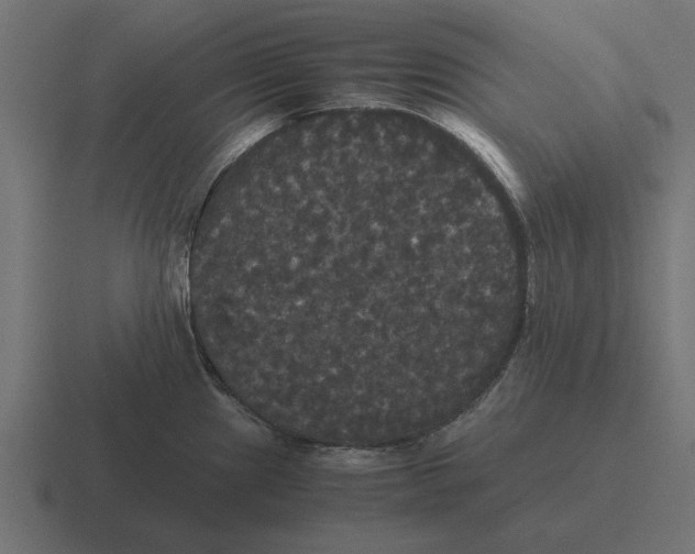 X0000116441241200912291922
