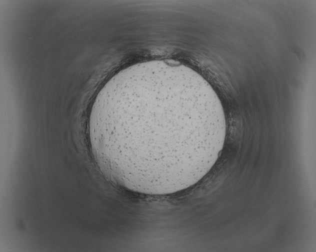 X0000116441249200912291921