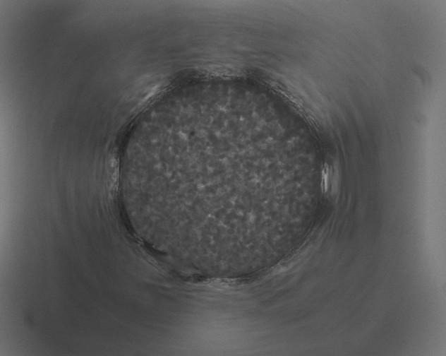 X0000116441251200912291921