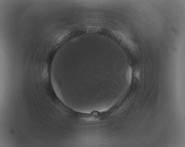 X0000116441252200912291921