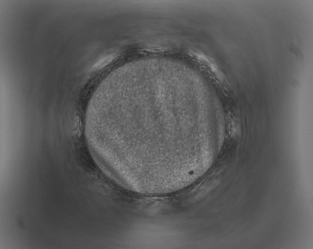 X0000116441253200912291921
