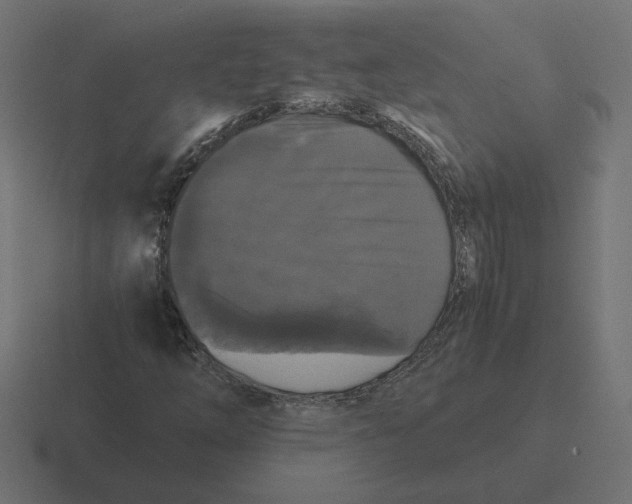 X0000116441254200912291921