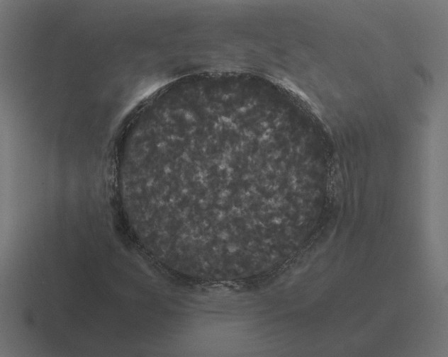 X0000116441255200912291921