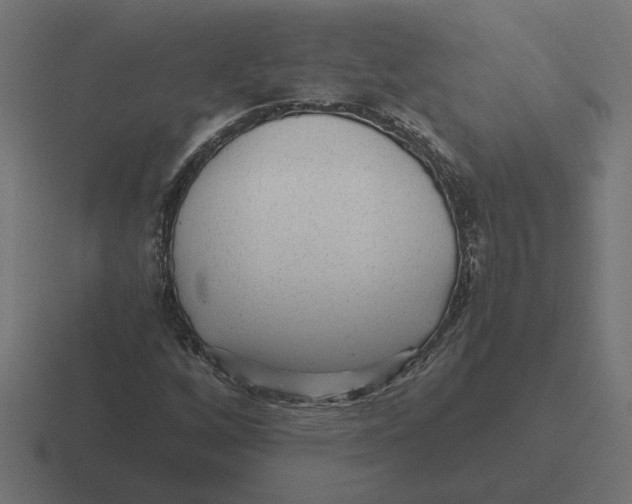 X0000116441256200912291921
