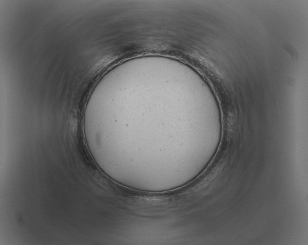 X0000116441257200912291921