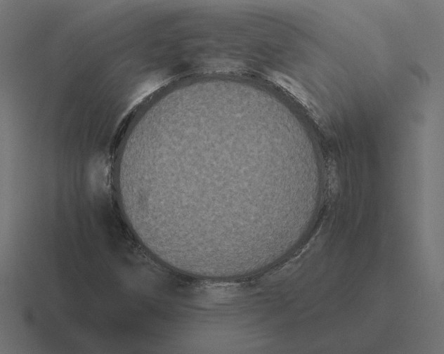 X0000116441258200912291921