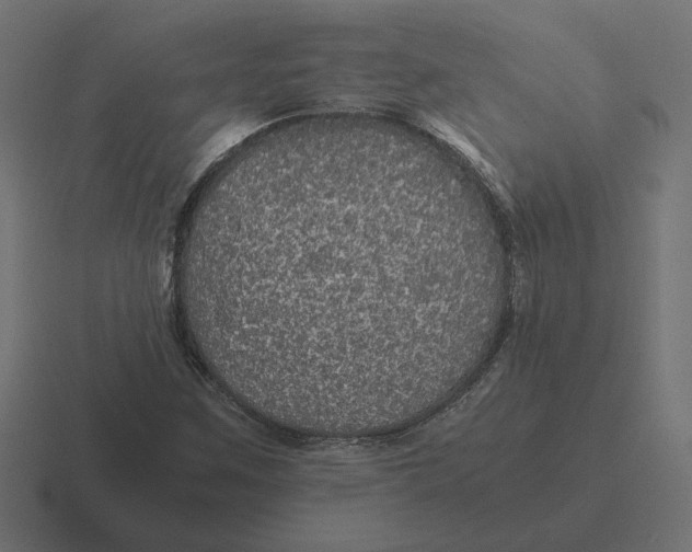 X0000116441259200912291921