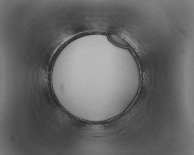 X0000116441260200912291921
