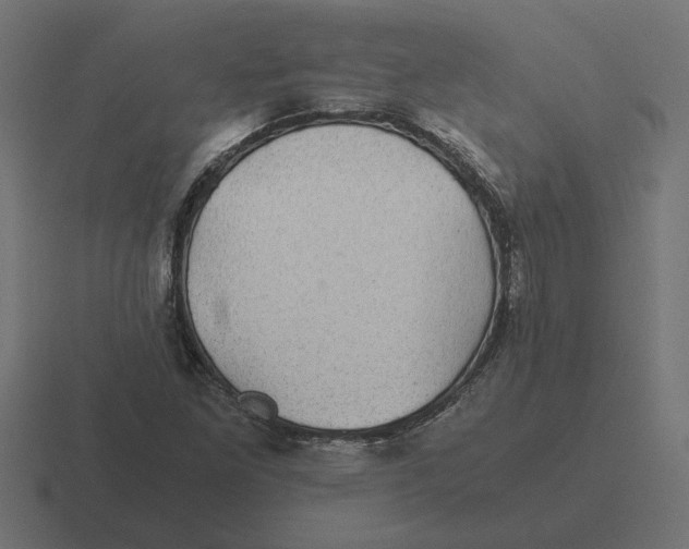 X0000116441261200912291921