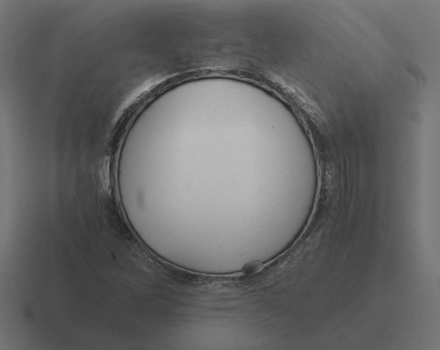 X0000116441262200912291921