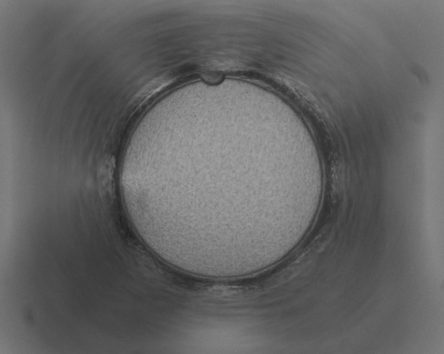 X0000116441265200912291921