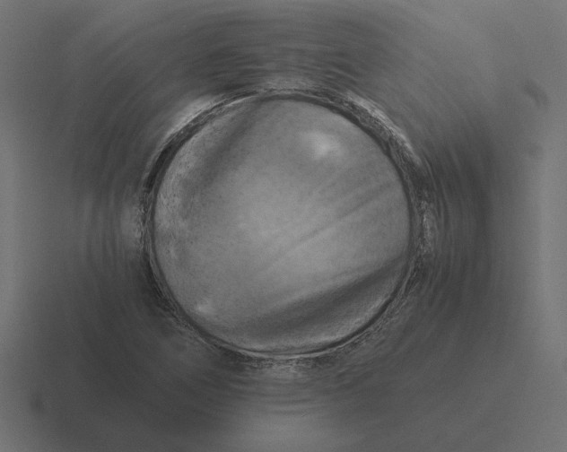 X0000116441266200912291921