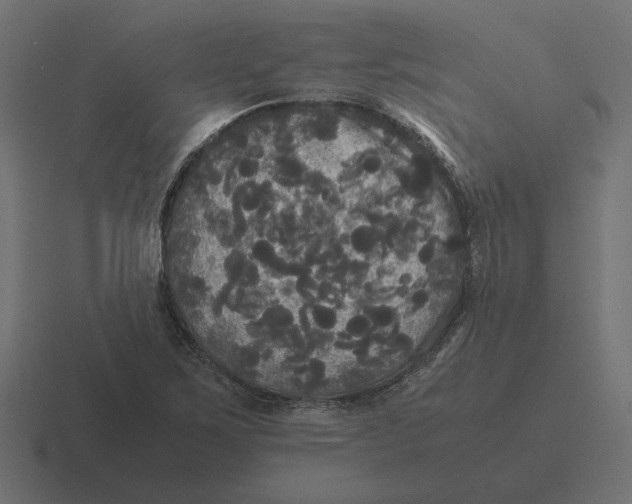 X0000116441267200912291921