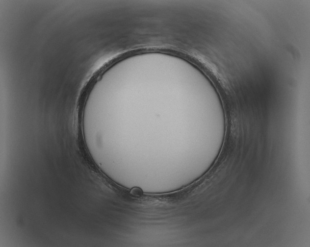 X0000116441270200912291921