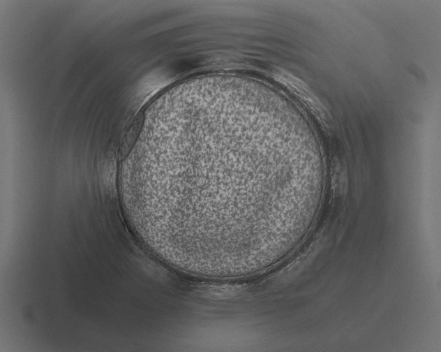 X0000116441273200912291921