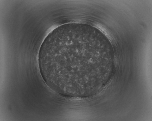 X0000116441283200912291921