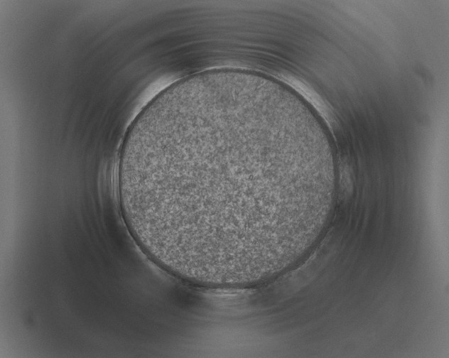 X0000116441290200912291921