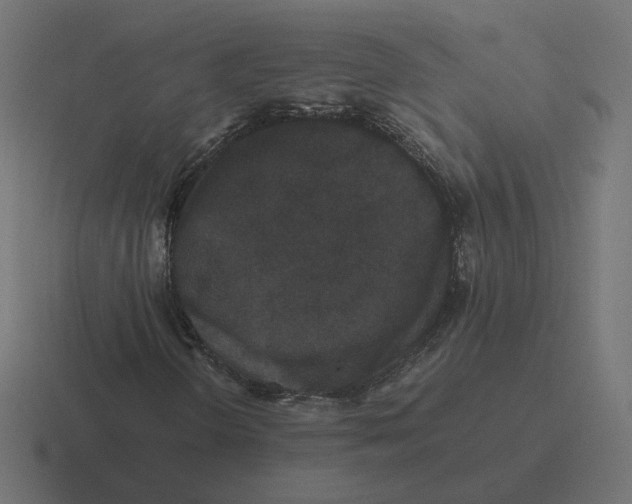 X0000116441298200912291920