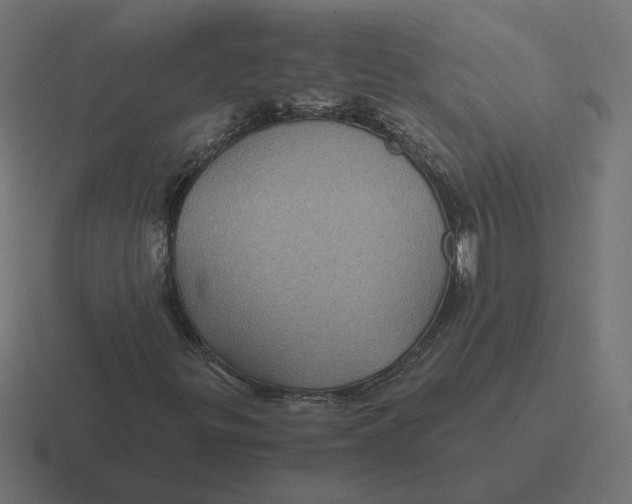 X0000116441299200912291920