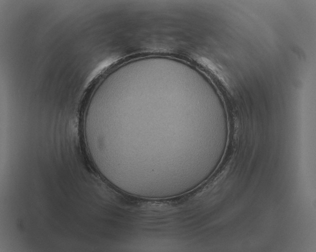 X0000116441307200912291920