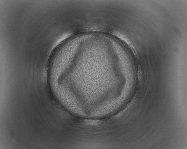 X0000116441309200912291920