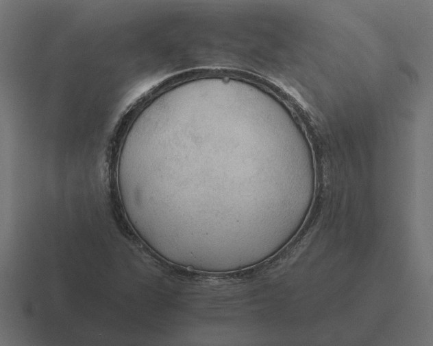 X0000116441311200912291920