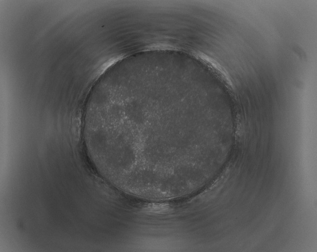 X0000116441313200912291920