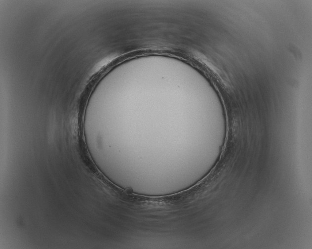 X0000116441315200912291920