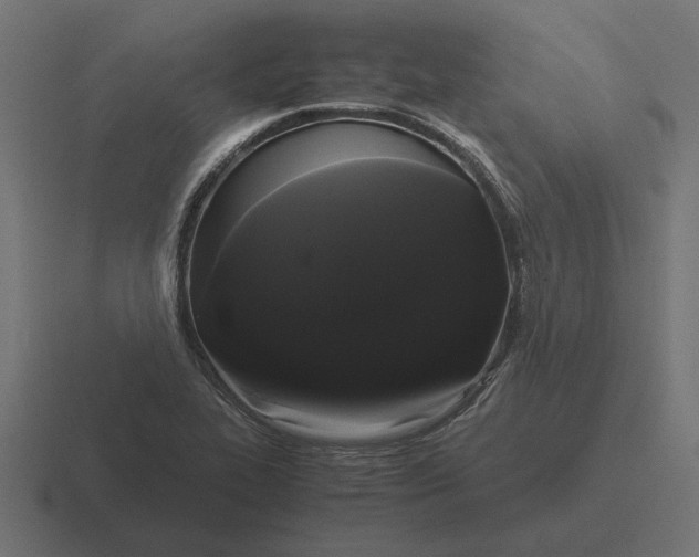 X0000116441319200912291920
