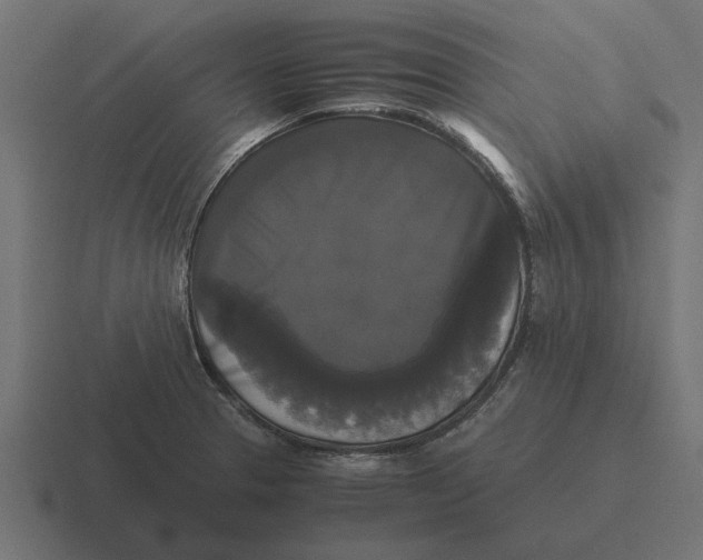 X0000116441329200912291920