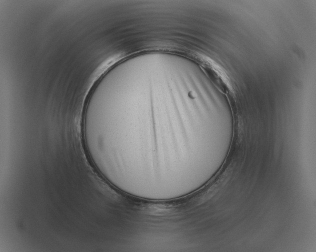 X0000116441330200912291920