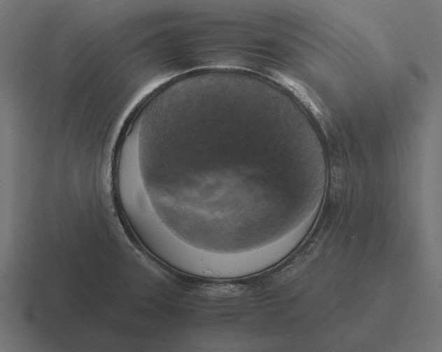 X0000116441331200912291920