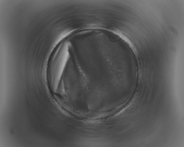 X0000116441333200912291920