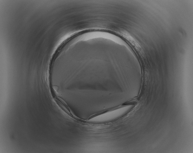 X0000116441334200912291920
